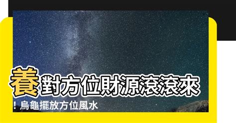 養烏龜方位